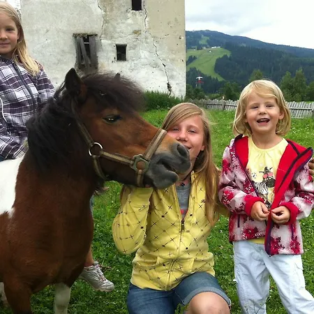 Vakantieboerderij Thurnhof Flachau